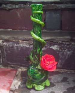 plainmaryjane:  godshideouscreation:  I got the prettiest glass