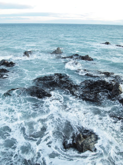 oceane-water:  vacants:  Kelp Foam (by Ure.Eljay)   need more