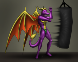 Spyro kept it hidden well, not even telling Cynder, whom saw