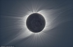 art-angelsz: sixpenceee:  A photo montage captured during a solar