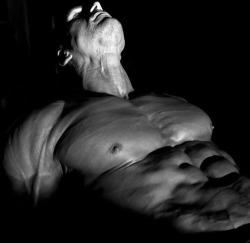 Pecs 'n' More