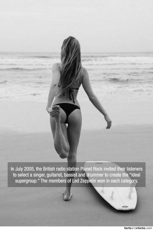 factsandchicks:  In July 2005, the British radio station Planet Rock invited their listeners to select a singer, guitarist, bassist and drummer to create the â€œideal supergroup.â€ The members of Led Zeppelin won in each category. source
