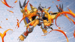 michi-tamitxm:  Finally, all the megas evolutions All the evolutions