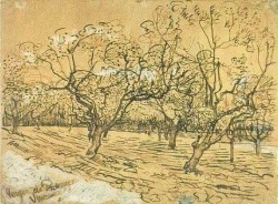 vincentvangogh-art:  Orchard with Blossoming Plum Trees (The