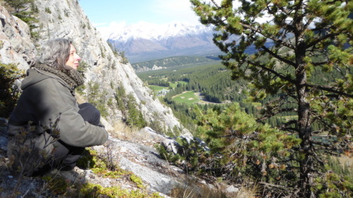 Sleeping Buffalo / Sacred Guardian Mountain (aka Tunnel Mt.) photo credit R. Michael Fisher