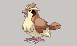 axew:  Pidgey • Hoothoot • Taillow • Starly • Pidove