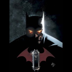 #batman #robin #batmanamdrobin #dccomics #new52