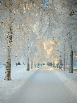 bluepueblo:  Snowy Morning, Dalarna, Sweden photo via scott 