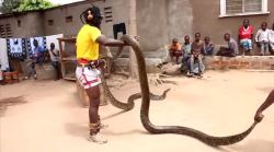 kemetic-dreams:  Watch: Sukuma Dancers In Tanzania Performing The Dance Of The Snake    Serpent whisperer