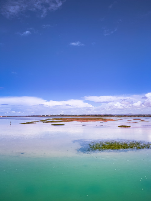 pedromgabriel:  - Just another beautiful spring day -by Pedro