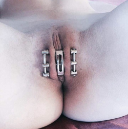 lezlexi:  little sis needs to show off her pierced cunt at least