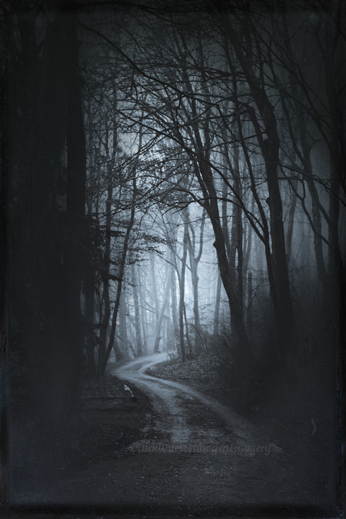 dyrkwyst:Dark Road