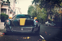sw3rved:  Ferrari 599 GTO My edit 