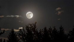 mothernaturenetwork:  Tonight’s blue moon has many namesTake