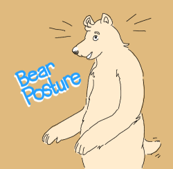 outsidewolves:  Bear Posture 