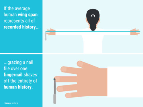 sixpenceee:  These cartoons depict the relative scale of things. 