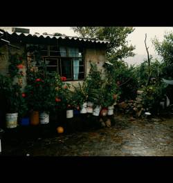 detras-de-los-cerros:  en Ixtlahuaca Toluca 