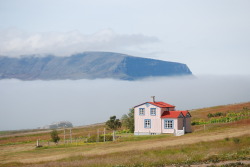 nawetgdyby:A foggy morning. Núpur, Dýrafjörður, Iceland,