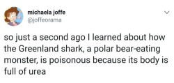 donigold: pee is stored in the shark