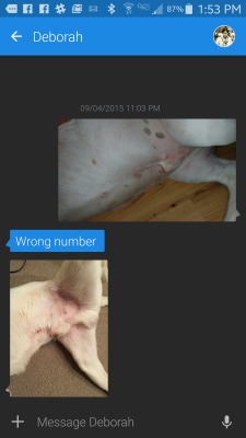 redditfront:  Tried to send my sister a picture of my puppy’s