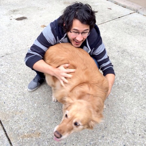 spvro:  Markiplier ft. Dogs: A Masterpost 