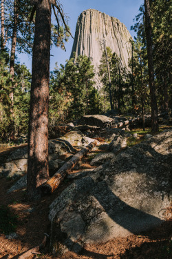 brianstowell:  Devil’s Tower, WyomingInstagram