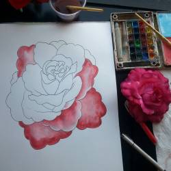 Working on a rose with some watercolor. #mattbernson #tattooapprentice