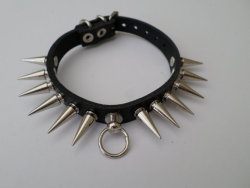 thegolddig:  Chihuahua Spiked Dog Collar (more information, more