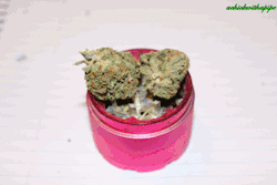 achickwithapipe:  | please leave source intact |