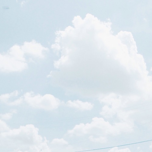 skyberrii:  all photographed by skyberrii   â™¡.Â°â‘…     