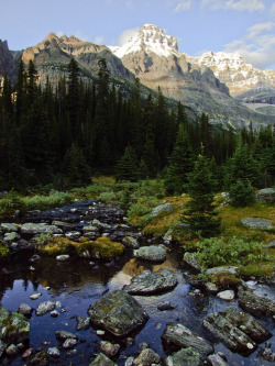 h4ilstorm:  Creek | Mount Huber (by Feffef) 