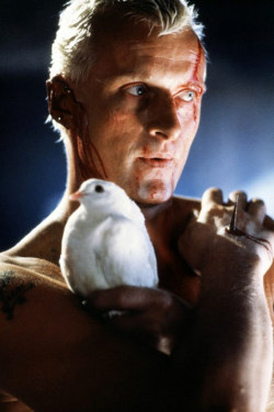 theactioneer:  Rutger Hauer, Blade Runner (1982)   Love this