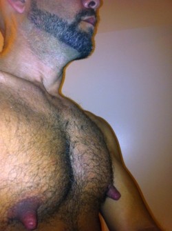 robypopp:  waveblue52:  Hairy nipple man……….  Nice nipples