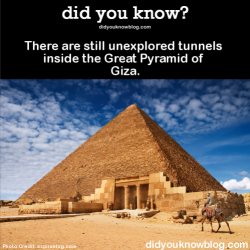 did-you-kno:  There are still unexplored tunnels inside the Great
