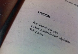 Karanlığın İçinde, Sessizliğin Dibinde