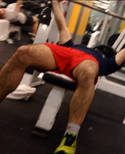 legman2013:  hairylegsmakemecum:Gym cruise  hairy body and legs