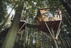 huffingtonpost:  There’s A Charming Treehouse Colony In Germany,