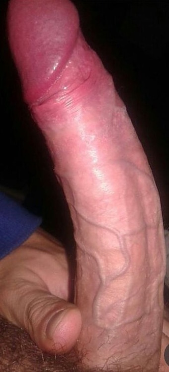 maurokerosene:  minosricoschilenos:  De san bernardo este guapo   Quiero el contacto de este guapoooo