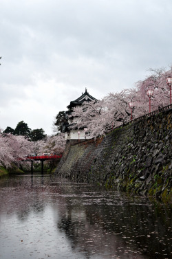 saqqoro:  天守閣（北の郭から) 