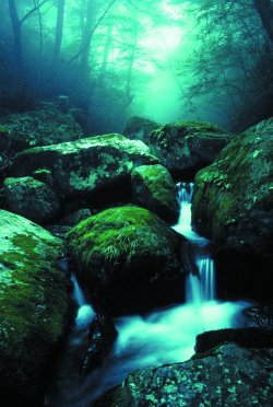 vitrinite:  The Sound of the Mountain Stream - Unknown photographer