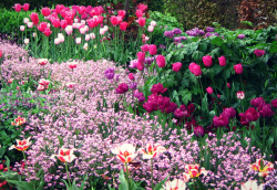 photoencounters:  The gardens of the Musée des Impressionnismes,