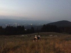 Plenilunio, altopiano di Asiago - Italy