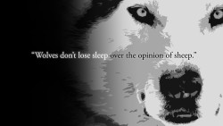 #Motivation #wolves 