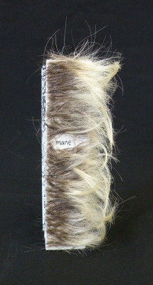 catclawpress:  Mane/Pride. Intaglio. Human Hair. Kelly Schmidt