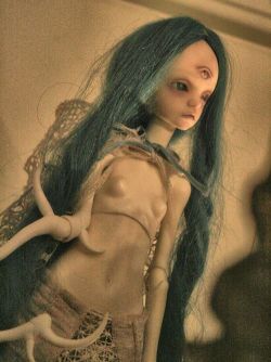 fyeahbjdmods:  [DollChateau Bella] hybrid with [DollZone’s