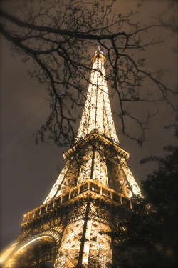 una sera  semplicemente speciale  parigi …. tour eiffel