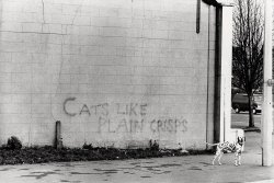 furtho:Roger Perry’s photograph of graffiti in Richmond, 1976