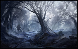 Misty Forest by SebastianWagner