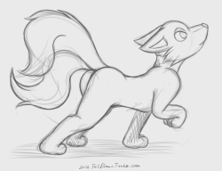 tailidraws:#TailiDraws - [Sketch Commission] Two-Tailed Kitsune