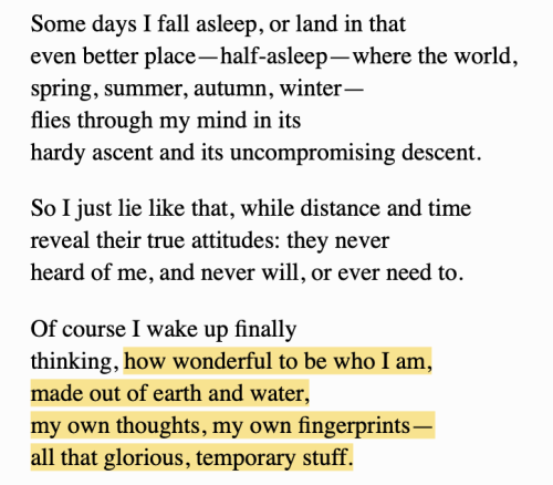 weltenwellen:  Mary Oliver, from “On Meditating, Sort Of”,